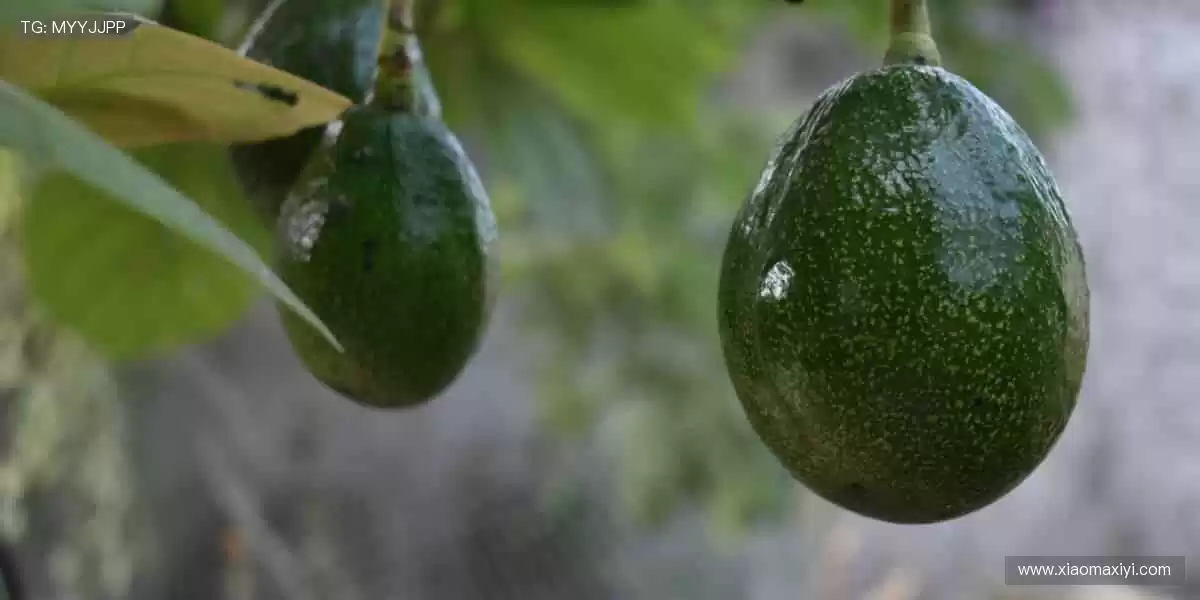 运动生活，触手可及！🏋️♂️🛒